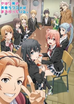 Cover for My Teen Romantic Comedy SNAFU Climax!