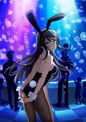 Cover for Rascal Does Not Dream of Bunny Girl Senpai
