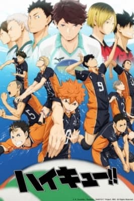 Cover for Haikyu!!
