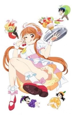 Cover for Nisekoi OVA