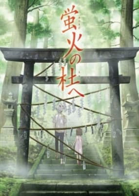Cover for The Light of a Firefly Forest