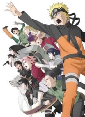 Cover for Naruto Shippuuden Movie 3: Inheritors of Will of Fire