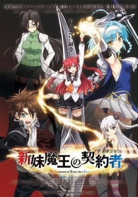Cover for The Testament of Sister New Devil