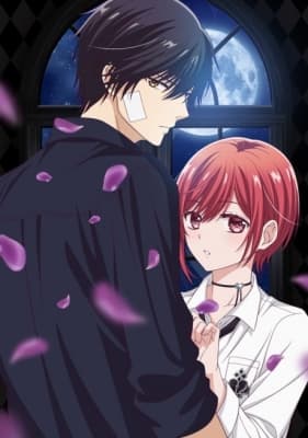 Cover for Vampire Dormitory