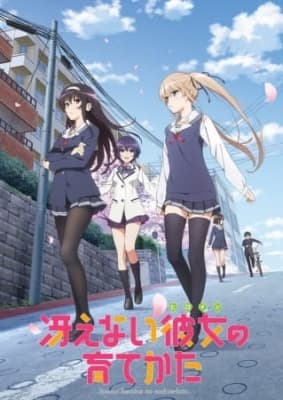 Cover for Saekano: How to Raise a Boring Girlfriend