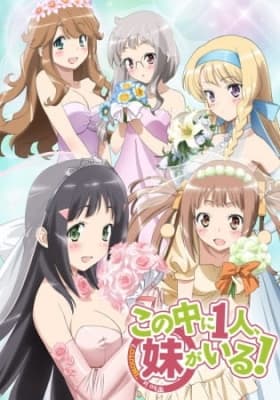 Cover for NAKAIMO - My Little Sister Is Among Them!
