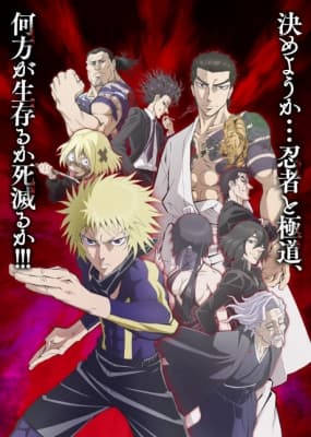 Cover for Ninja vs. Gokudo