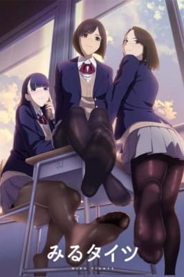 Cover for Miru Tights