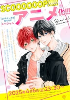 Cover for A Love Too Captivating