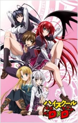 Cover for High School DxD