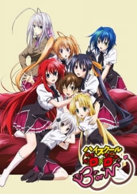 Cover for High School DxD BorN