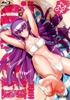 Cover for Highschool of the Dead: Drifters of the Dead