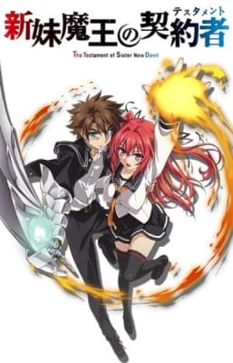 Cover for The Testament of Sister New Devil OVA