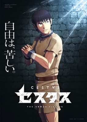 Cover for Cestvs: The Roman Fighter