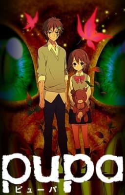 Cover for Pupa