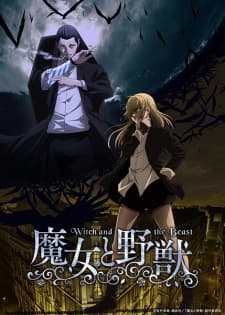 Cover for The Witch and the Beast