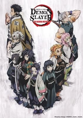 Cover for Demon Slayer: The Hashira Meeting Arc